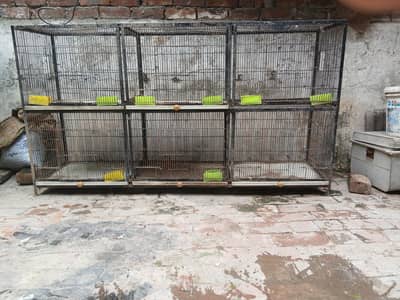 PARROY AND PIGEON BIRD CAGE FOR SAL