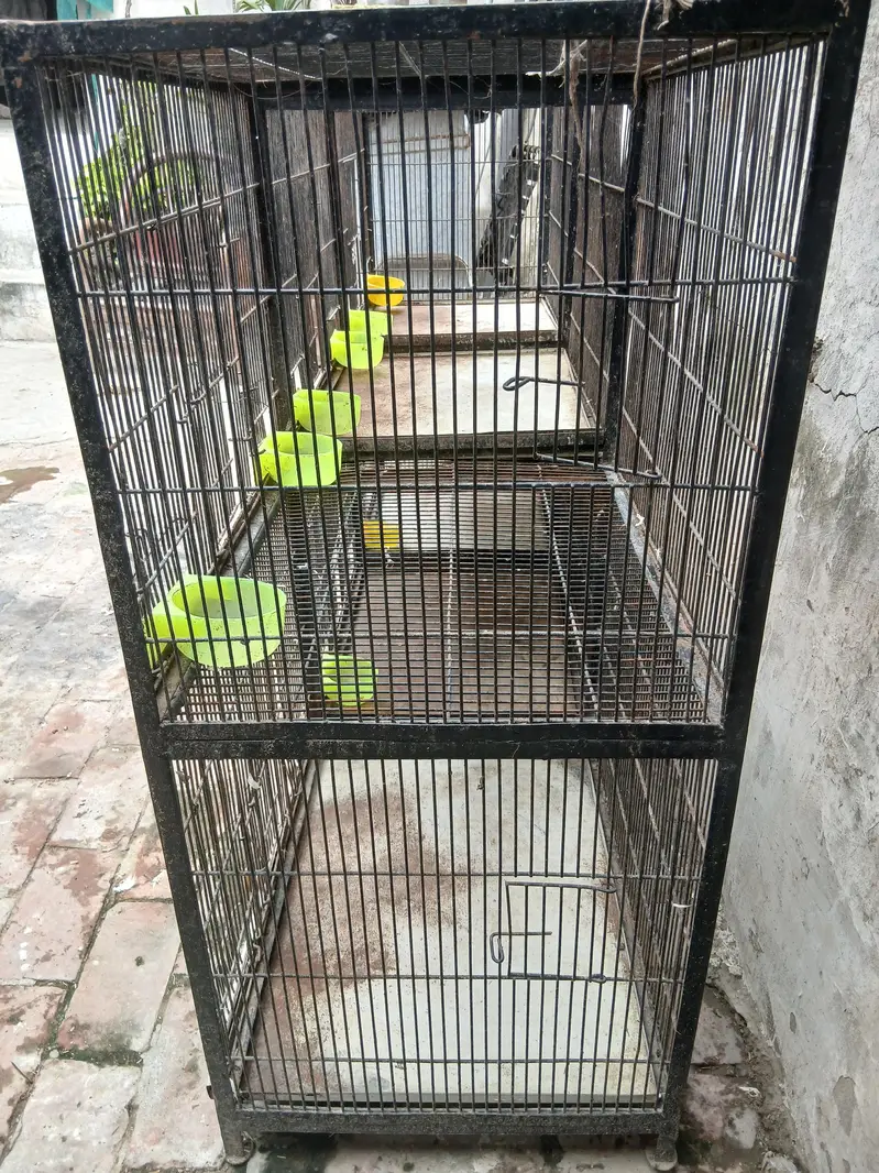 PARROY AND PIGEON BIRD CAGE FOR SAL — photo 2