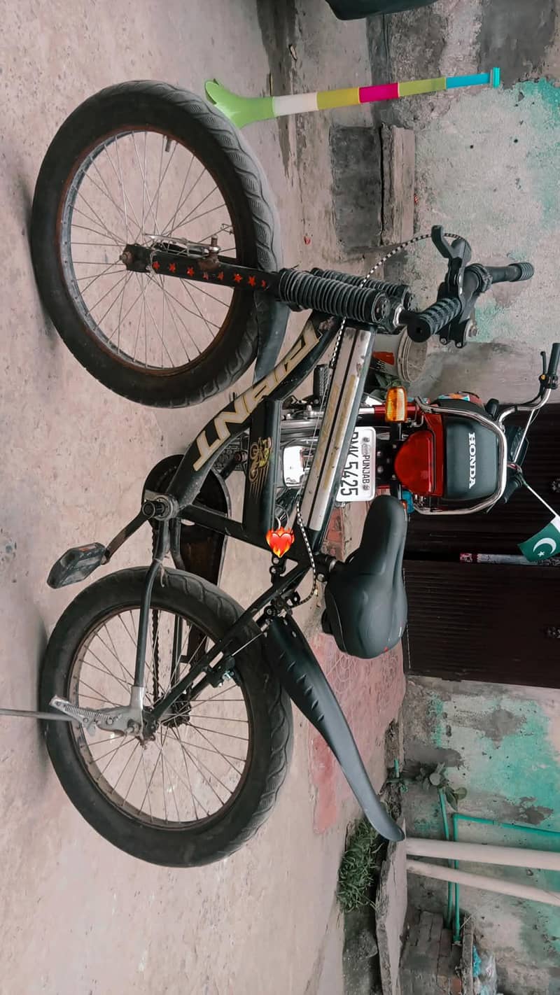 mountain cycle 0