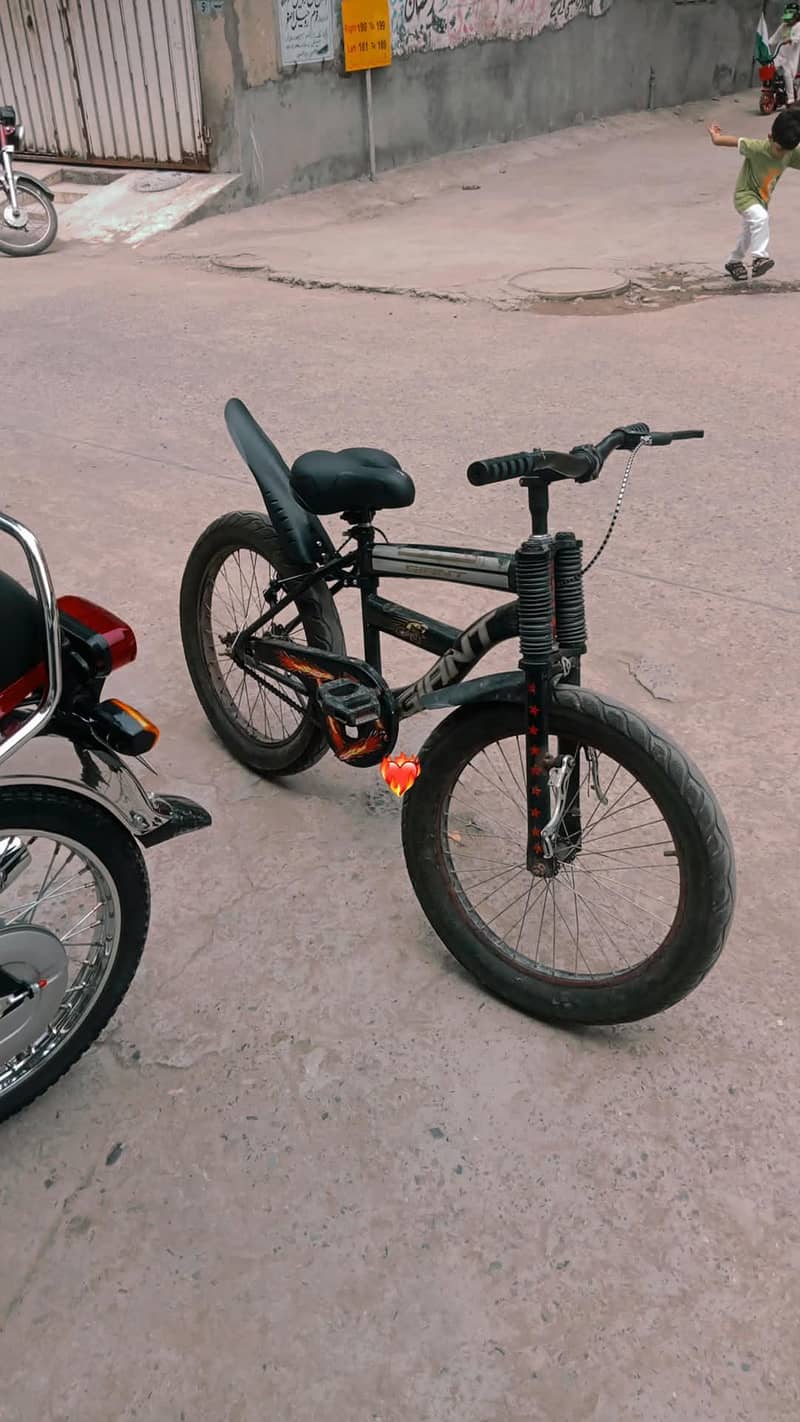 mountain cycle 1