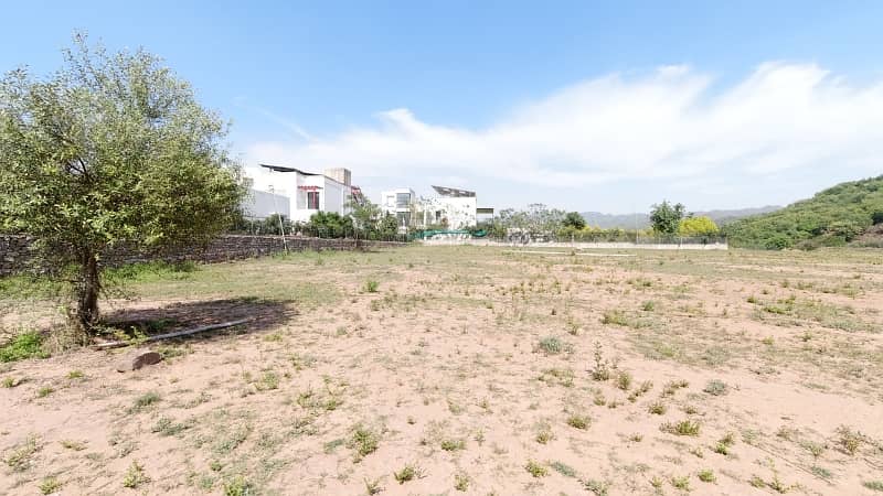 5 Kanal Dead End Corner, Solid & Level Plot For Sale 9