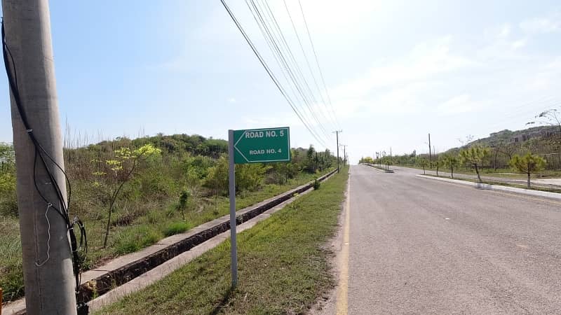 5 Kanal Dead End Corner, Solid & Level Plot For Sale 15