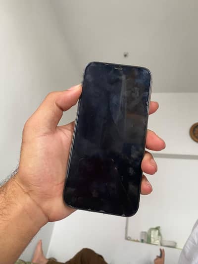 Apple iPhone 12 Pro
