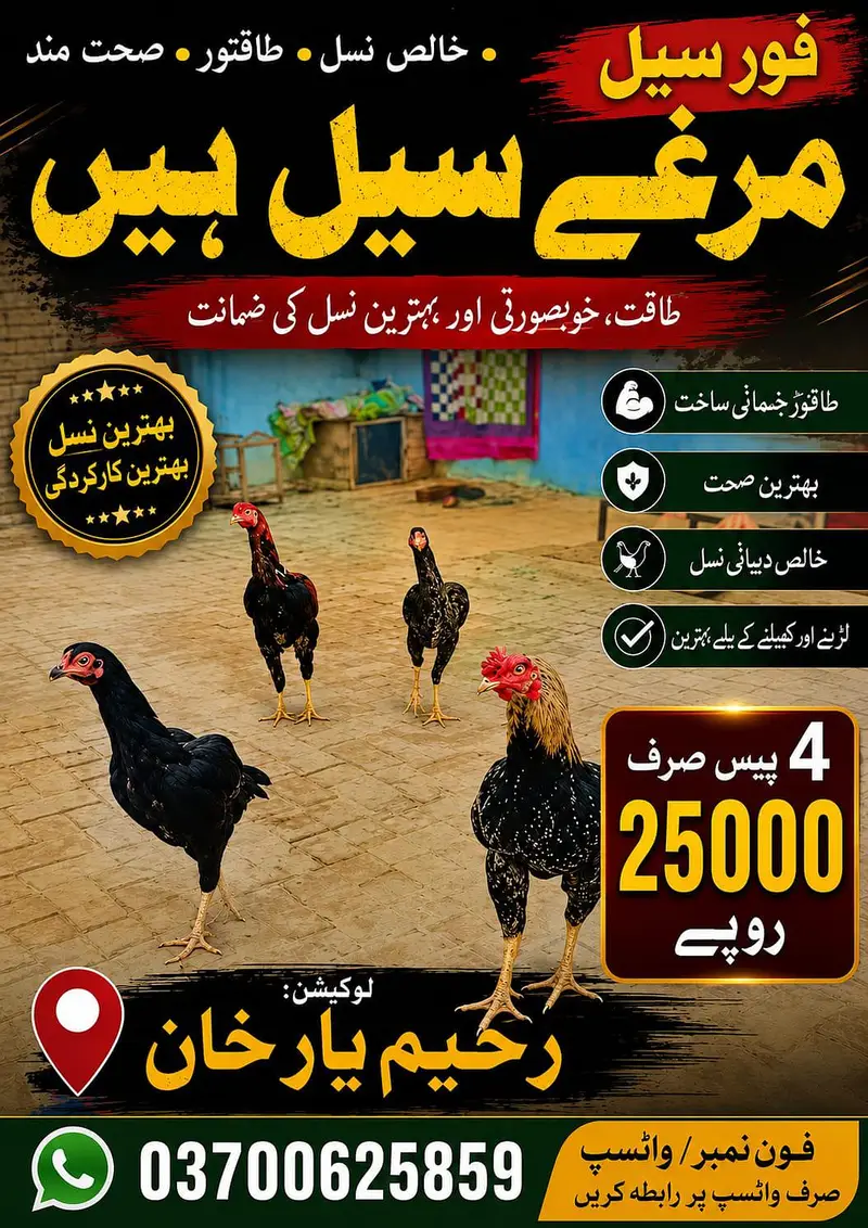 details ke leay rabta kre Whatsapp par