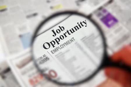 Female Marketing Executive (Office-Based)