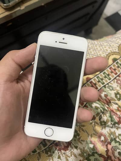 Apple iPhone 5s