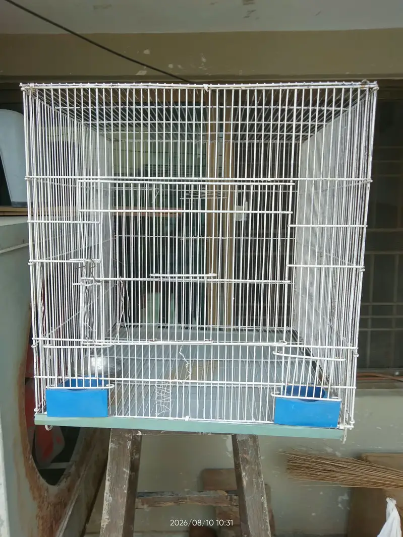 cage of birds