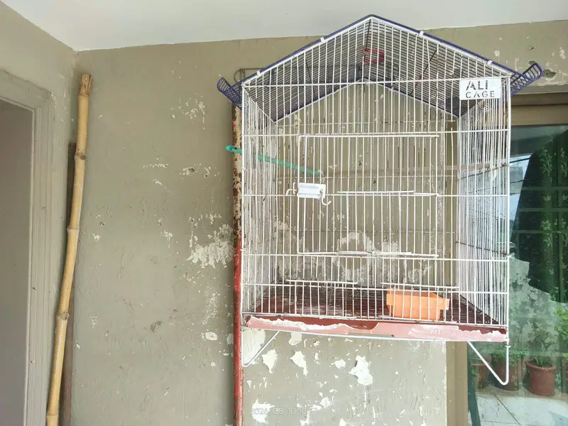 cage of birds — photo 2