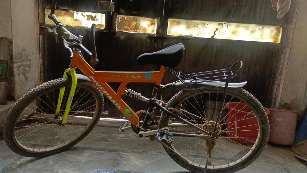 mountain bicycle 1