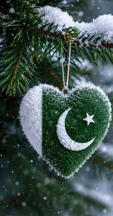 Saleem Khan