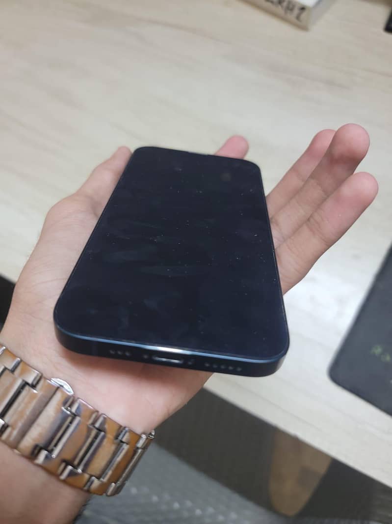 Apple iPhone 13 0