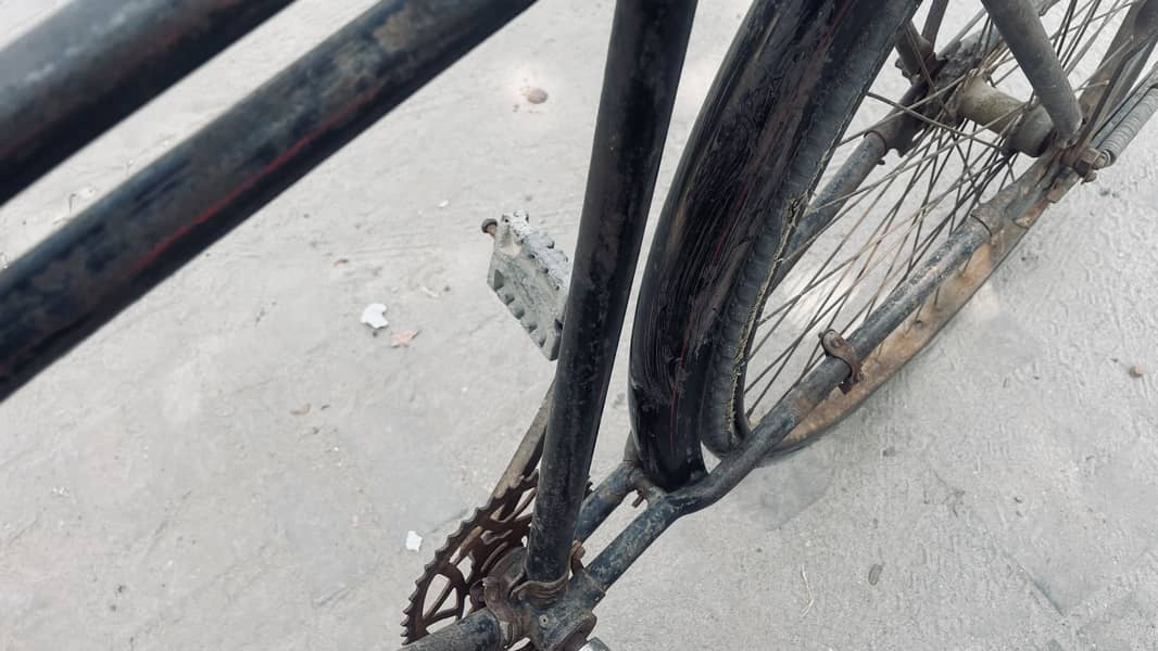 Sohrab Cycle 4