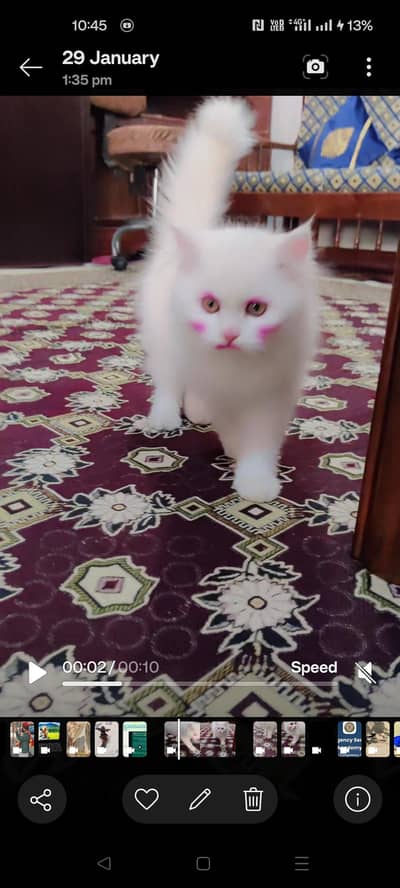 For Sale
