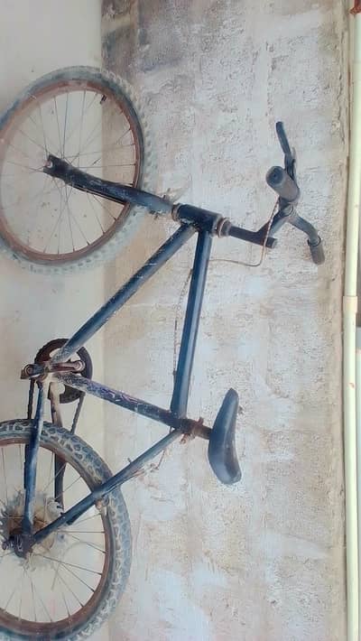 cycle