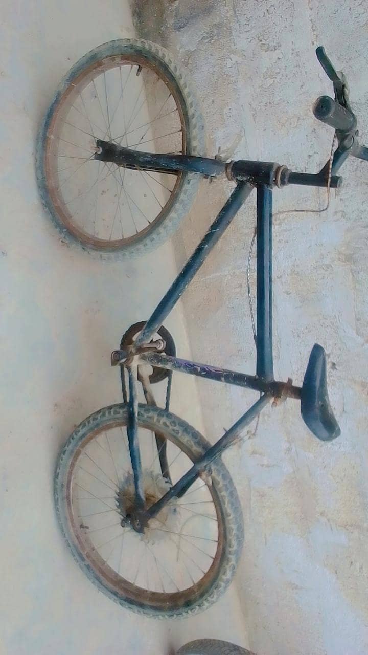 cycle 6