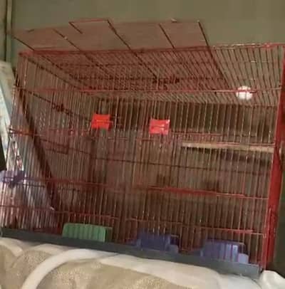 partitions cage