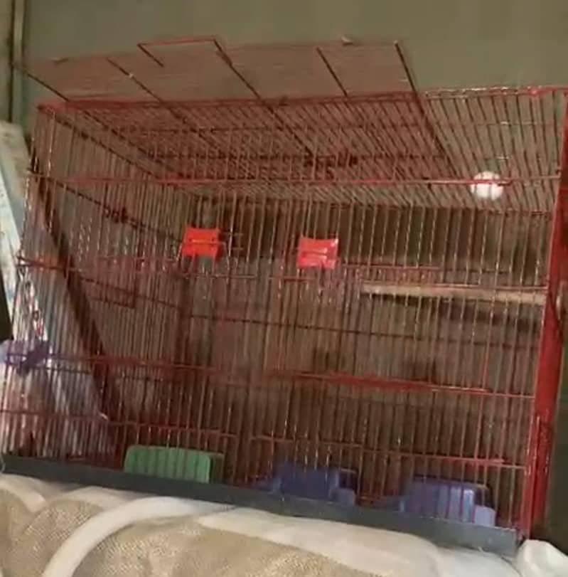 partitions cage 0