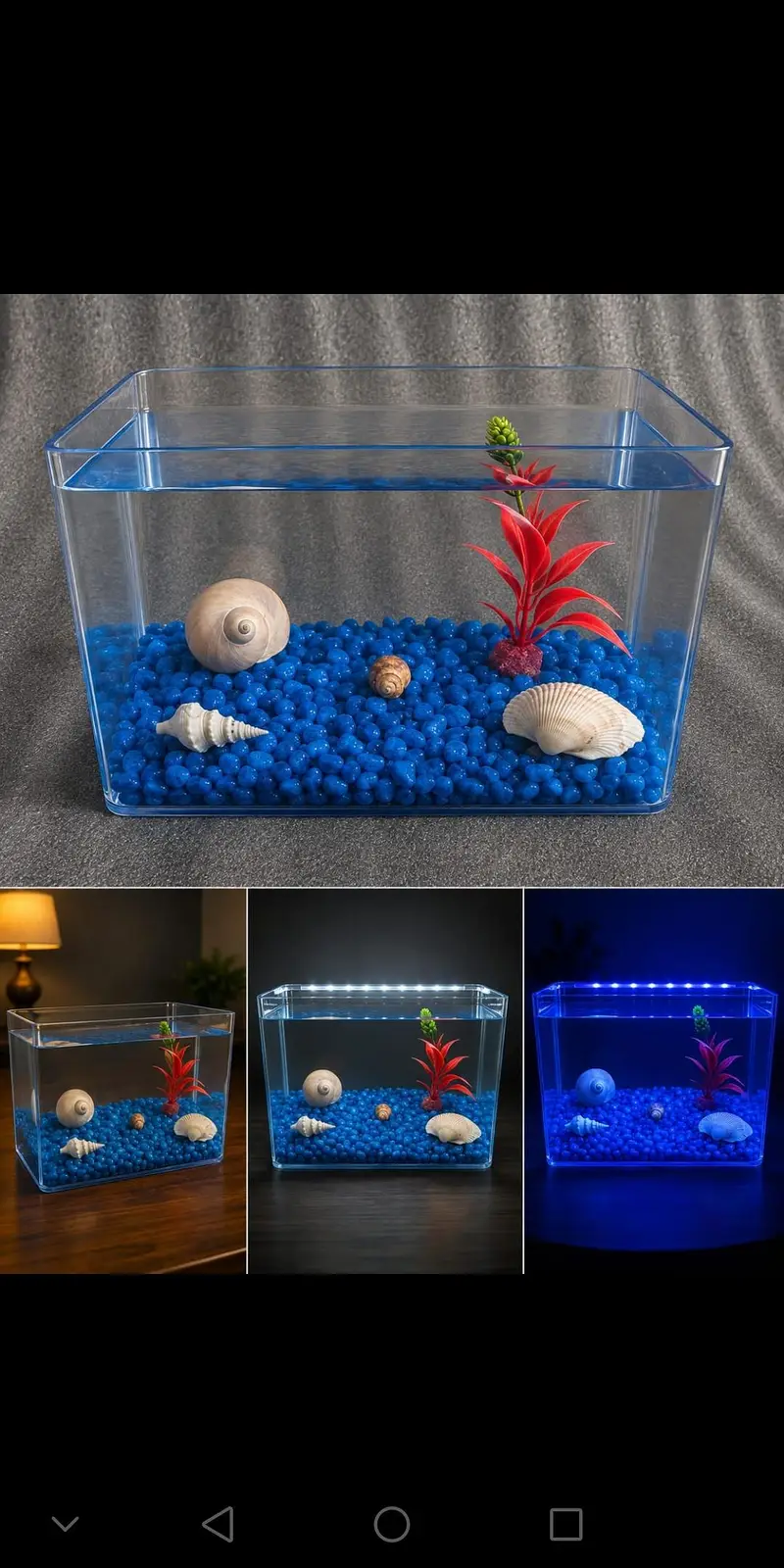 Betta fish healthy and active 03268301979 — photo 7