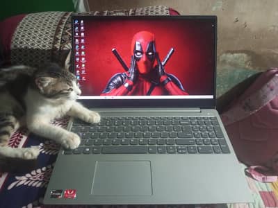 Lenovo ideapad ryzen 5 2500u
