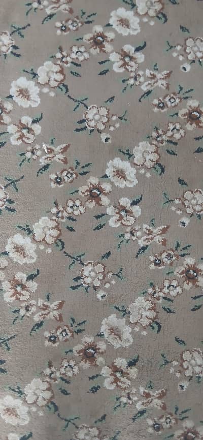 Carpet for Sale