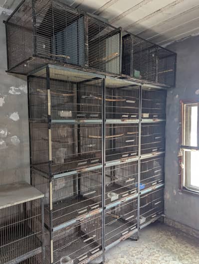 Cage • Iron Cage • birds cage • pinjra •