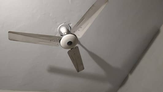 pak fan