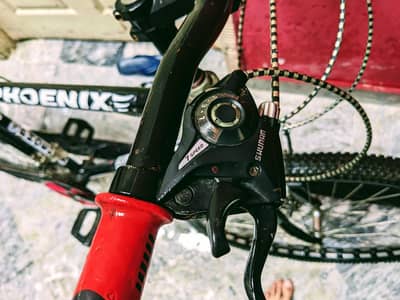 phoenix cycle with 7 gear's