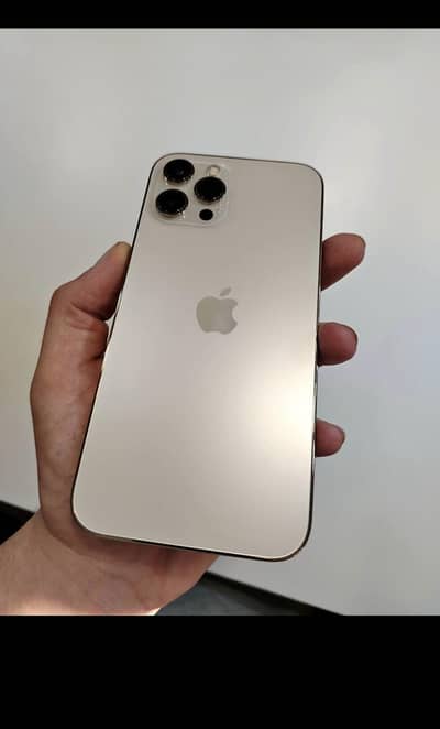 Apple iPhone 12 Pro Max