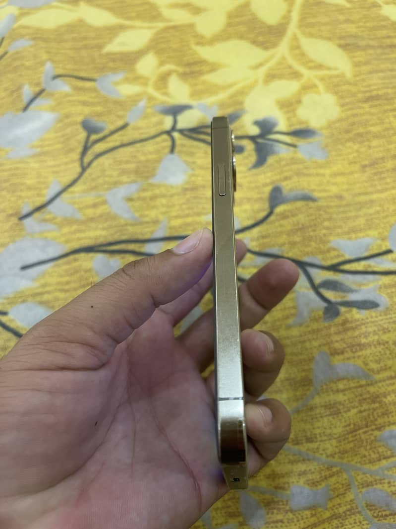 Apple iPhone 12 Pro 1