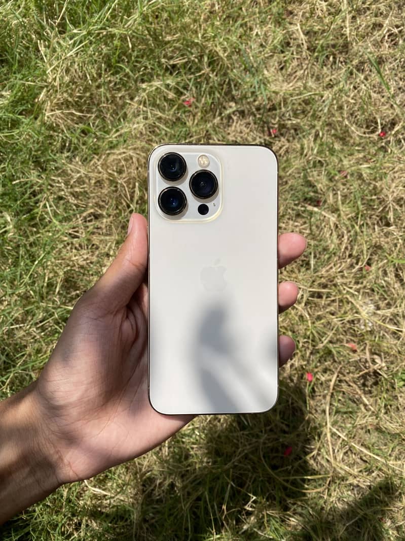Apple iPhone 13 Pro 0