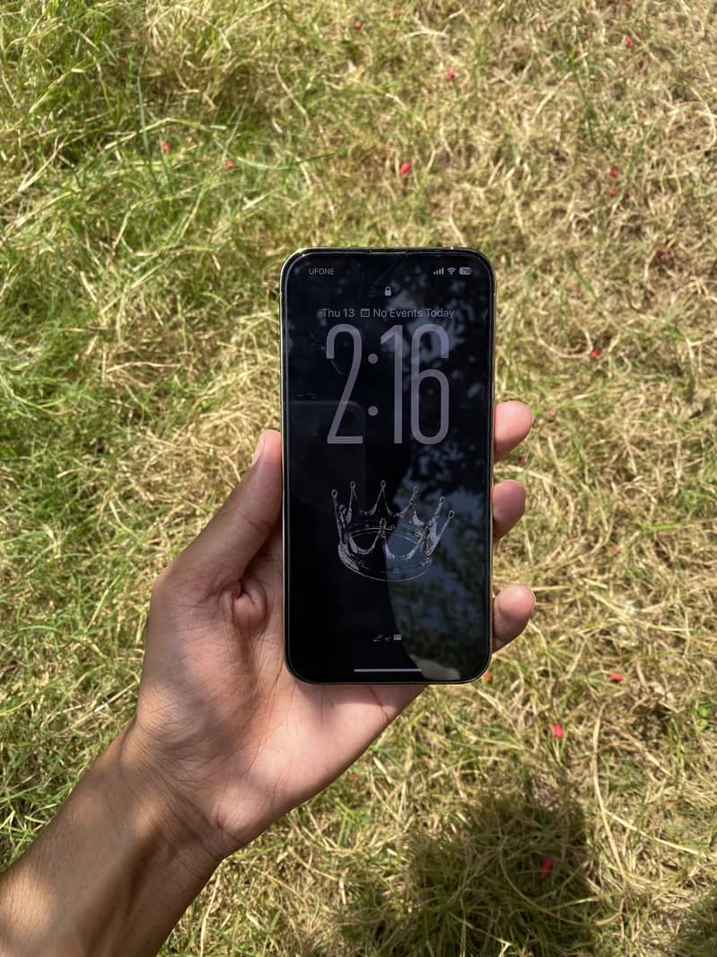 Apple iPhone 13 Pro 1
