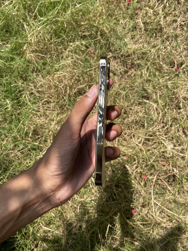 Apple iPhone 13 Pro 3