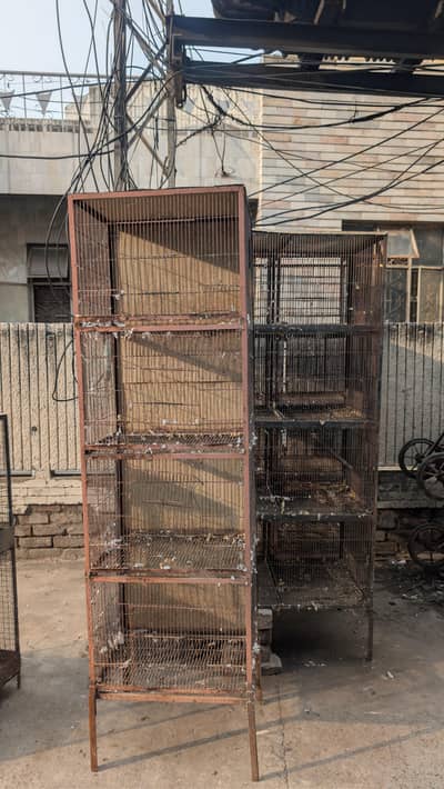 Hen and birds cages