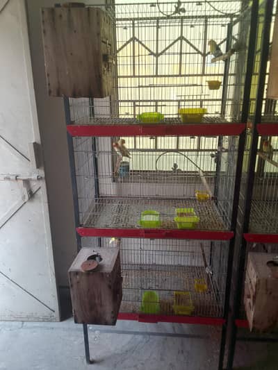 Galvanized 10number wire Birds Cages in different sizes