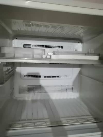 freez 10 by 10 condion