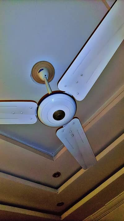 Super Asia Ceiling Fans