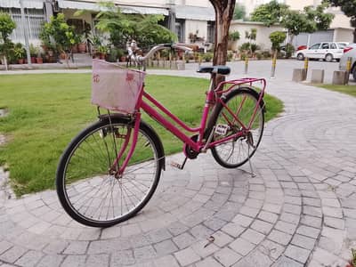 JASMINE 24" Imported Japani Bicycle