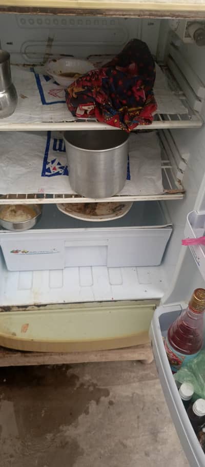 fridge for sale
