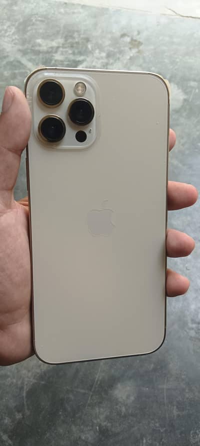 Apple iPhone 12 Pro Max waterproof mobile