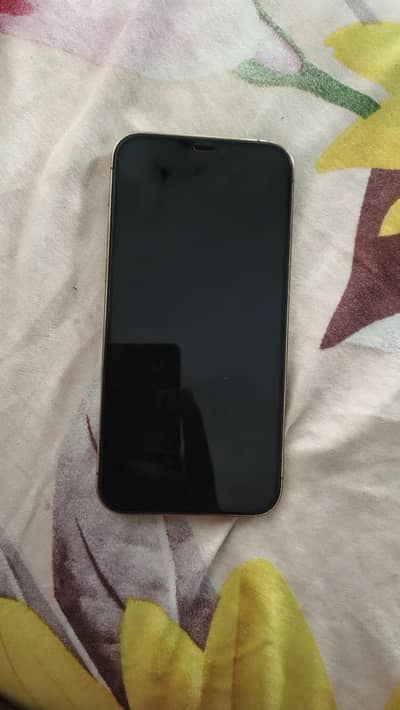 Apple iPhone 12 Pro