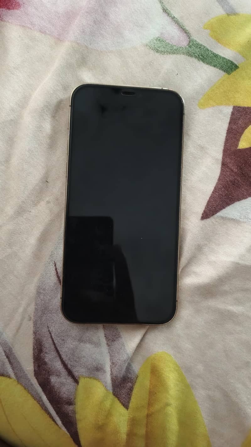 Apple iPhone 12 Pro 0