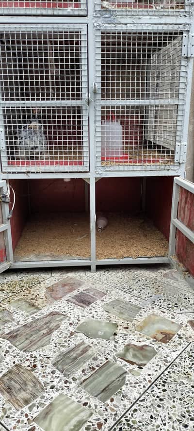 cage for poultry