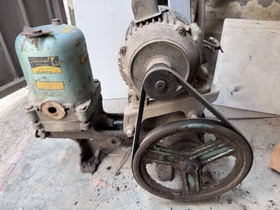 Golden Donkey Water Pump