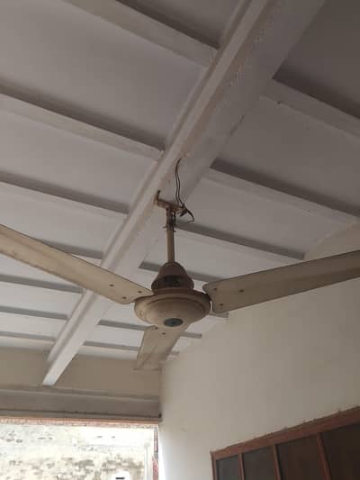 5 ceiling fan for sale