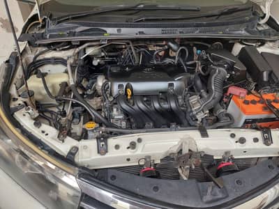 Toyota Corolla XLI 2015