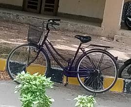ladies cycle