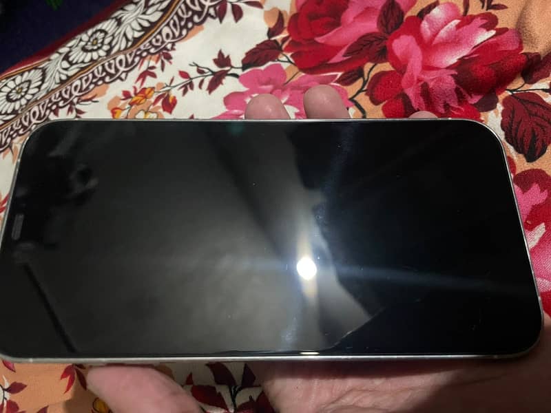 Apple iPhone 12 Pro Max 2