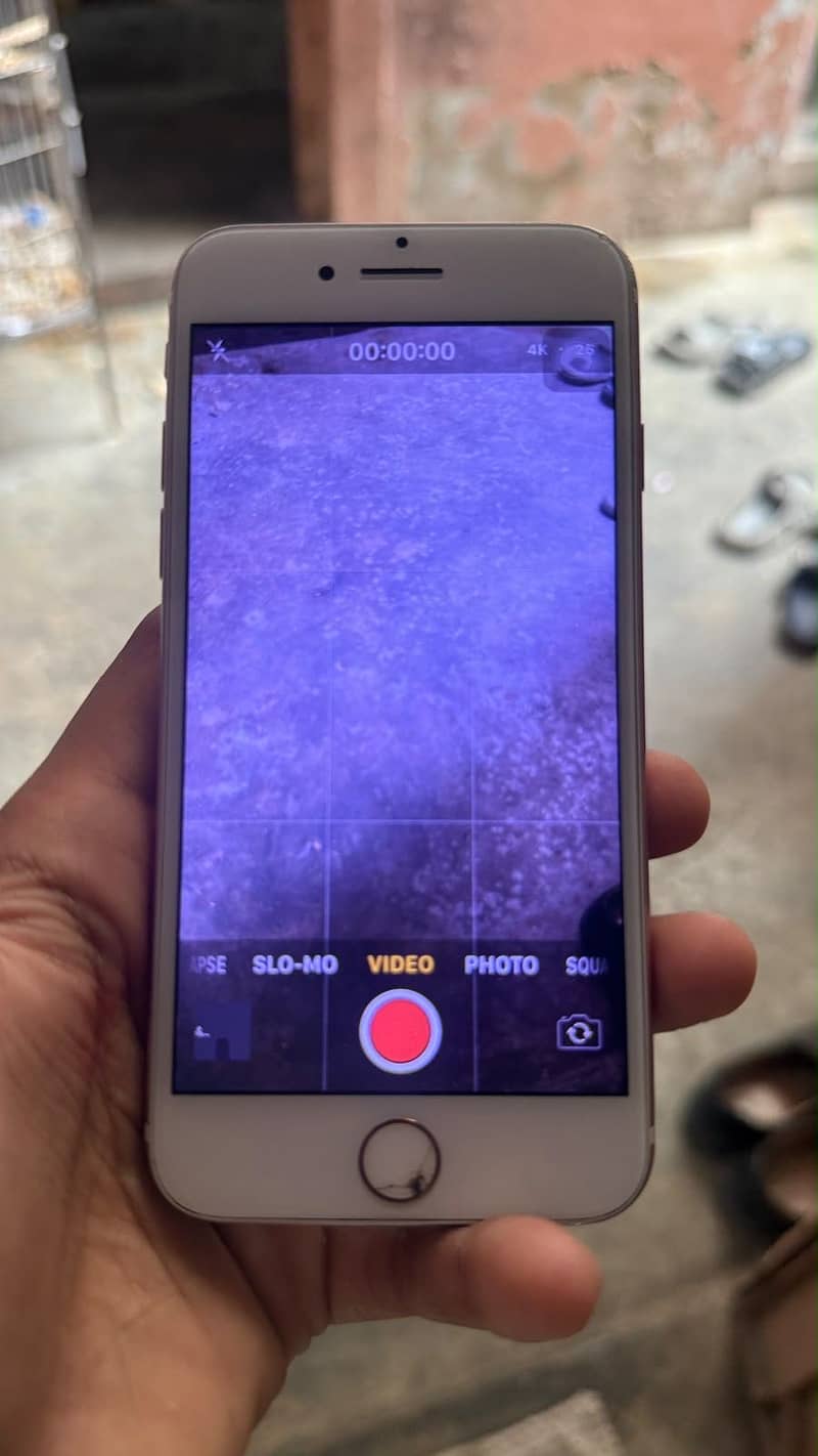 Apple iPhone 7 6