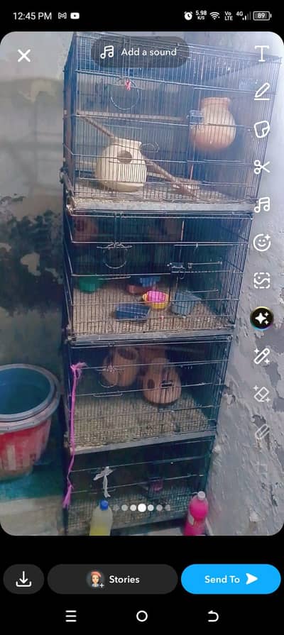 good condition 4 portion cage