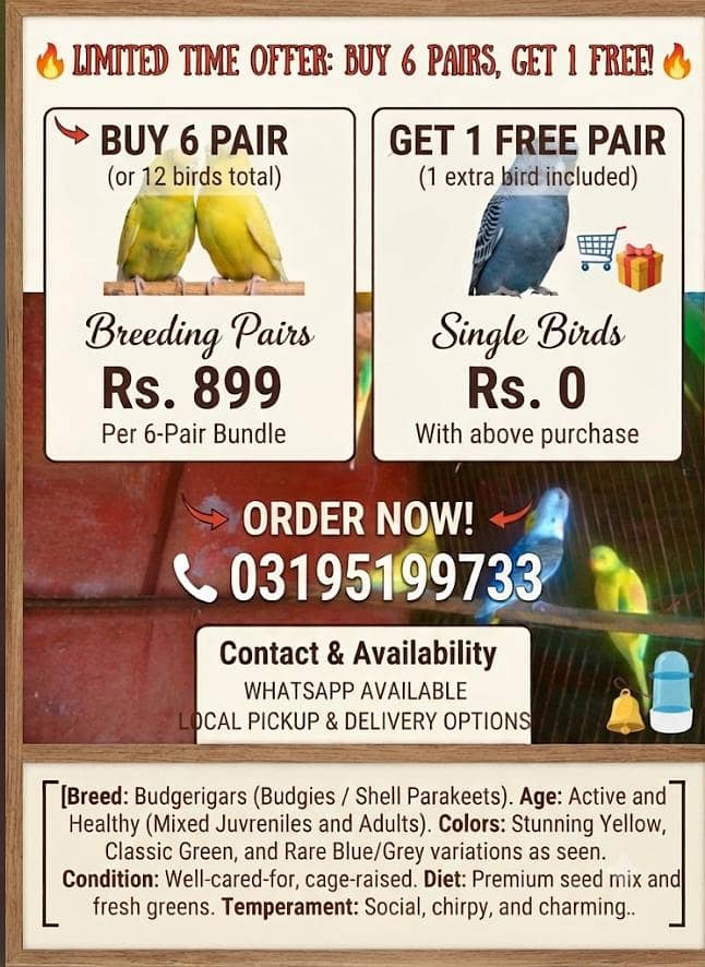 Bird Lover sale limited stock 0
